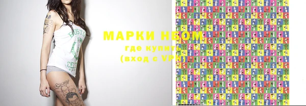 сатива Гусь-Хрустальный