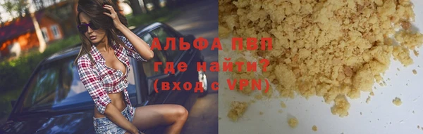 стаф Горняк