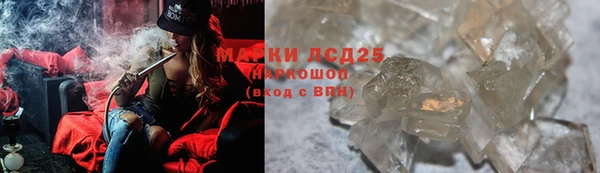 шишки Гусиноозёрск