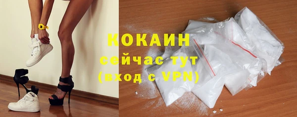 шишки Гусиноозёрск