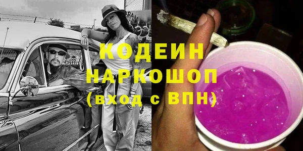 сатива Гусь-Хрустальный