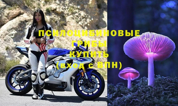 эйфоретик Горно-Алтайск