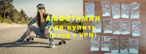 сатива Гусь-Хрустальный