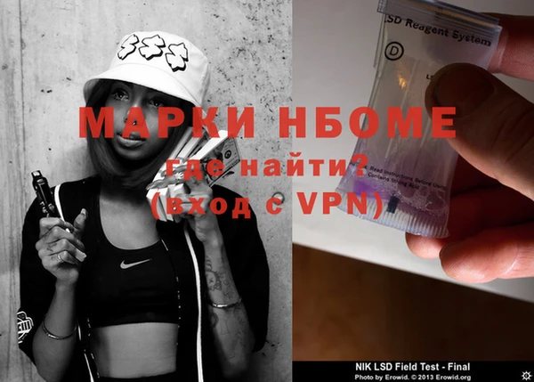 шишки Гусиноозёрск