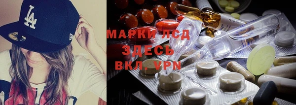 первитин Гусев