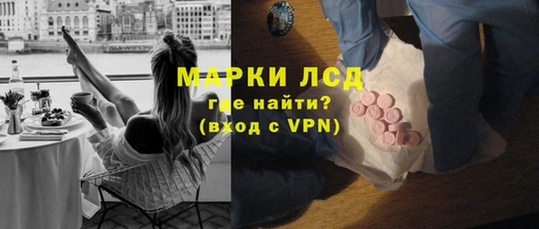стаф Горняк