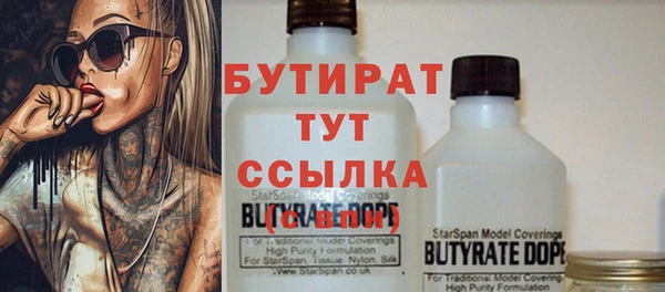 шишки Гусиноозёрск