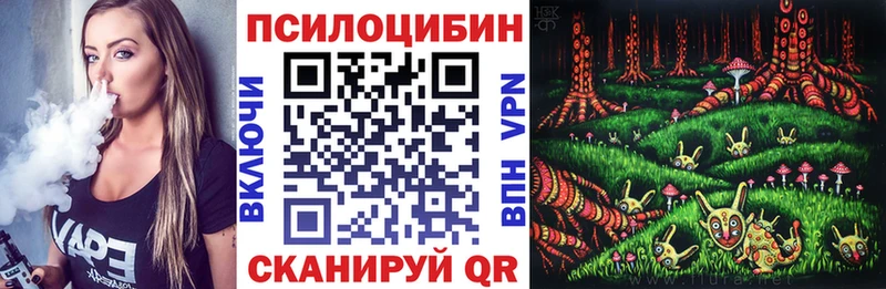 купить   Ельня  Псилоцибиновые грибы ЛСД 